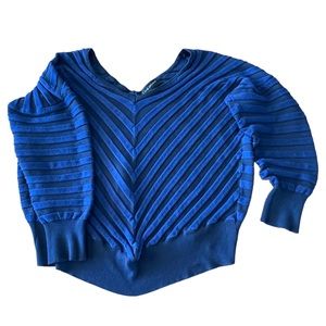 Lane Bryant Angled Stripe Navy Royal V Neck Sweater Womens Size 14/16